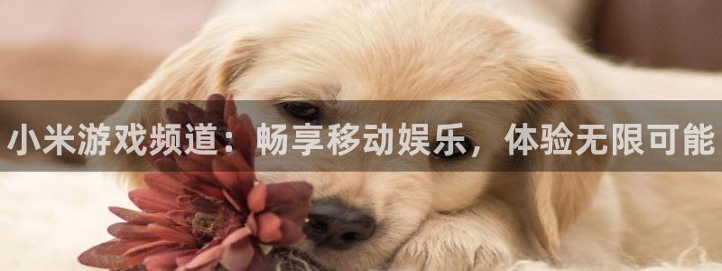 鼎点娱乐登陆：小米游戏频道：畅享移动娱乐，体验无限可能