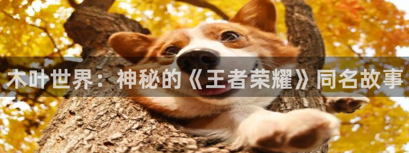 鼎点娱乐升级5994月：木叶世界：神秘的《王者荣耀》同名故事
