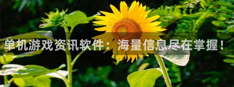 鼎点娱乐官网：单机游戏资讯软件：海量信息尽在掌握！
