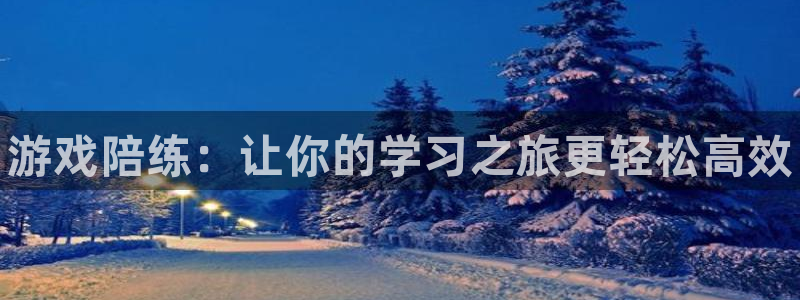 鼎点娱乐官方注册登录：游戏陪练：让你的学习之旅更轻松高效