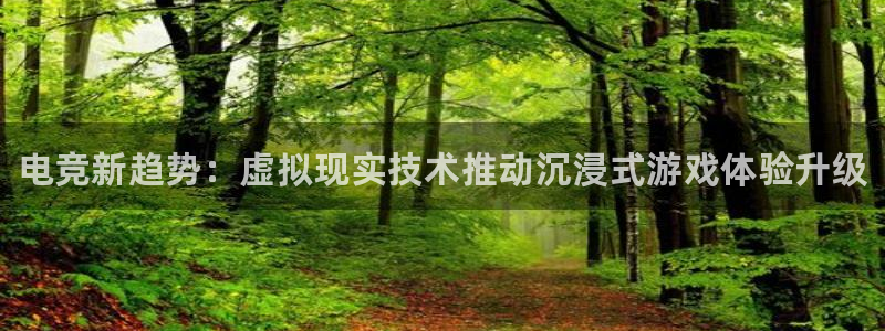鼎点娱乐平台注册资金多少：电竞新趋势：虚拟现实技术推动沉浸式