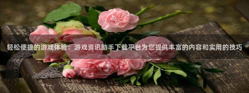 鼎点娱乐2登录：轻松便捷的游戏体验：游戏资讯助手下载平台为您