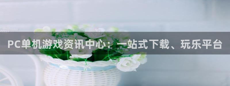 鼎点娱乐咨询