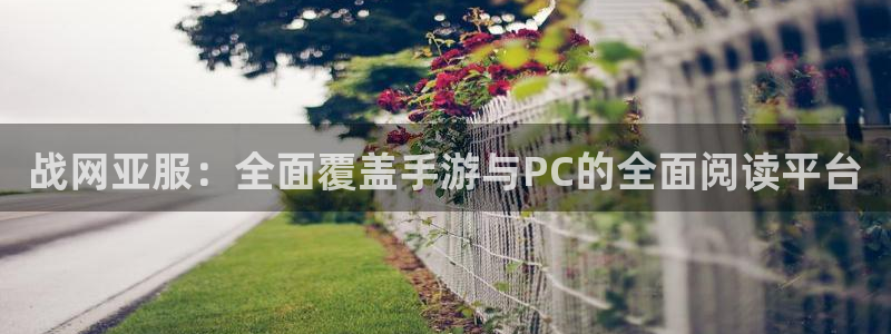 鼎点娱乐测速：战网亚服：全面覆盖手游与PC的全面阅读平台