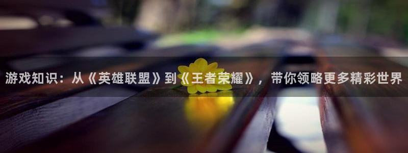 鼎点娱乐平台注册资金多少：游戏知识：从《英雄联盟》到《王者荣