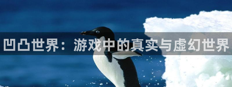 鼎点娱乐主管：凹凸世界：游戏中的真实与虚幻世界