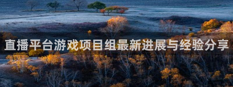 鼎点娱乐登录地址：直播平台游戏项目组最新进展与经验分享