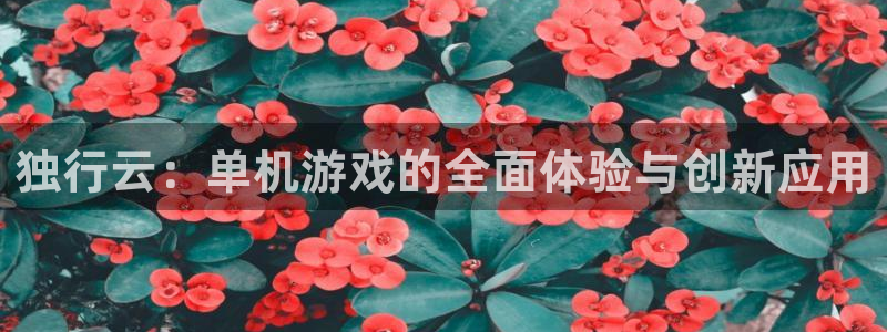 鼎点娱乐平台注册：独行云：单机游戏的全面体验与创新应用