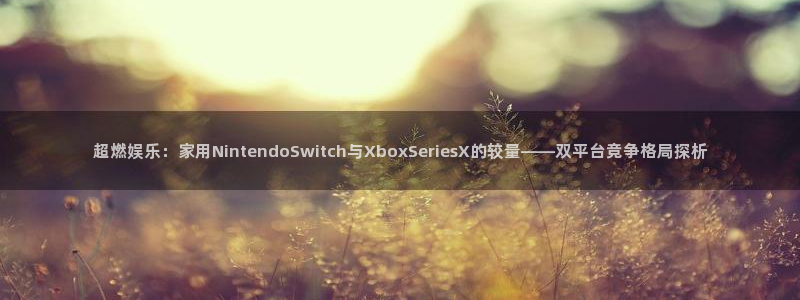 鼎点娱乐Ii：超燃娱乐：家用NintendoSwitch与X