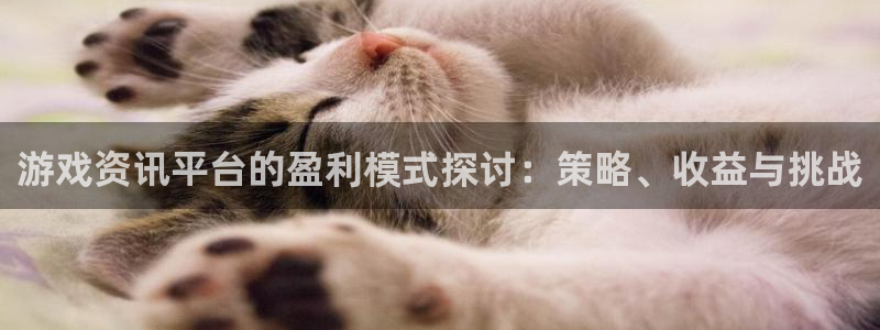鼎点娱乐官方注册登录：游戏资讯平台的盈利模式探讨：策略、收益