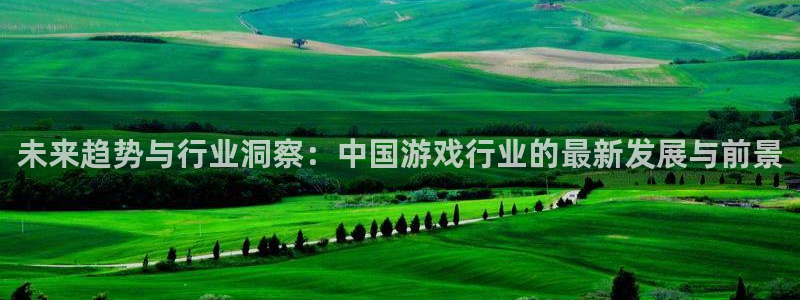 鼎点娱乐注册账号：未来趋势与行业洞察：中国游戏行业的最新发展