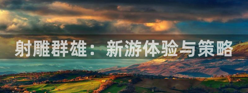鼎点娱乐什么意思：射雕群雄：新游体验与策略