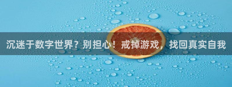 鼎点娱乐平台官网注册：沉迷于数字世界？别担心！戒掉游戏，找回