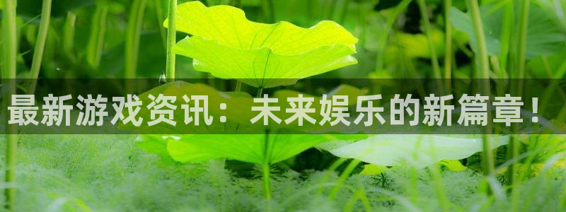 鼎点娱乐官网登录：最新游戏资讯：未来娱乐的新篇章！