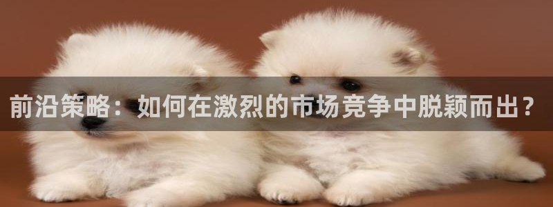 鼎点娱乐app：前沿策略：如何在激烈的市场竞争中脱颖而出？